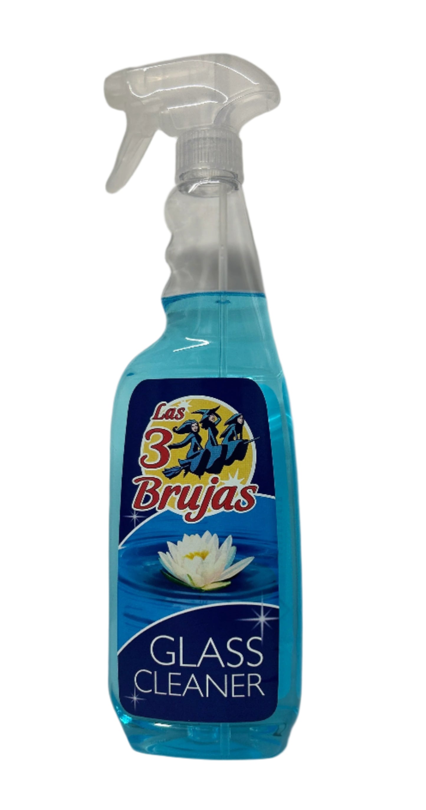Swept Away Spanish Cleaning Bundle x 6 Items